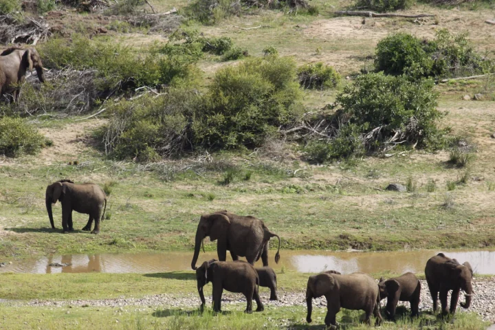 Paysage africain associé à Addo Elephant Park
