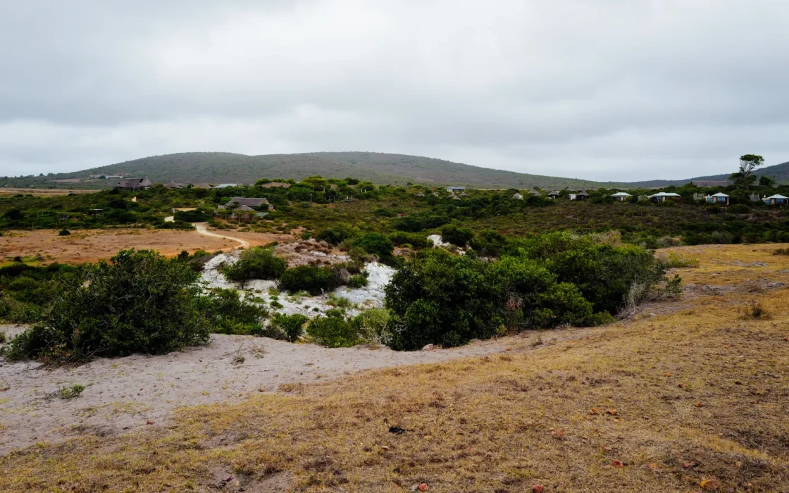 Paysage africain associé à Afrique du Sud