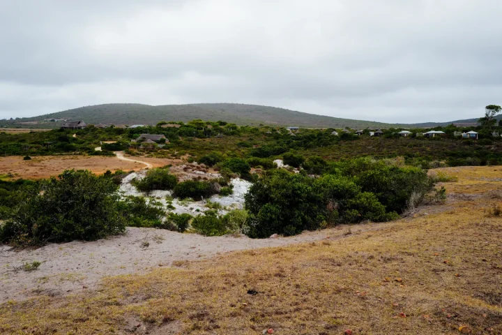 Paysage africain associé à Afrique du Sud