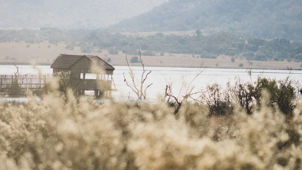 Paysage africain associé à Afrique du Sud