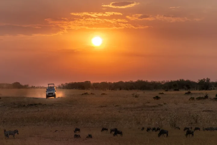 Paysage de safari au Botswana associé à circuit Botswana