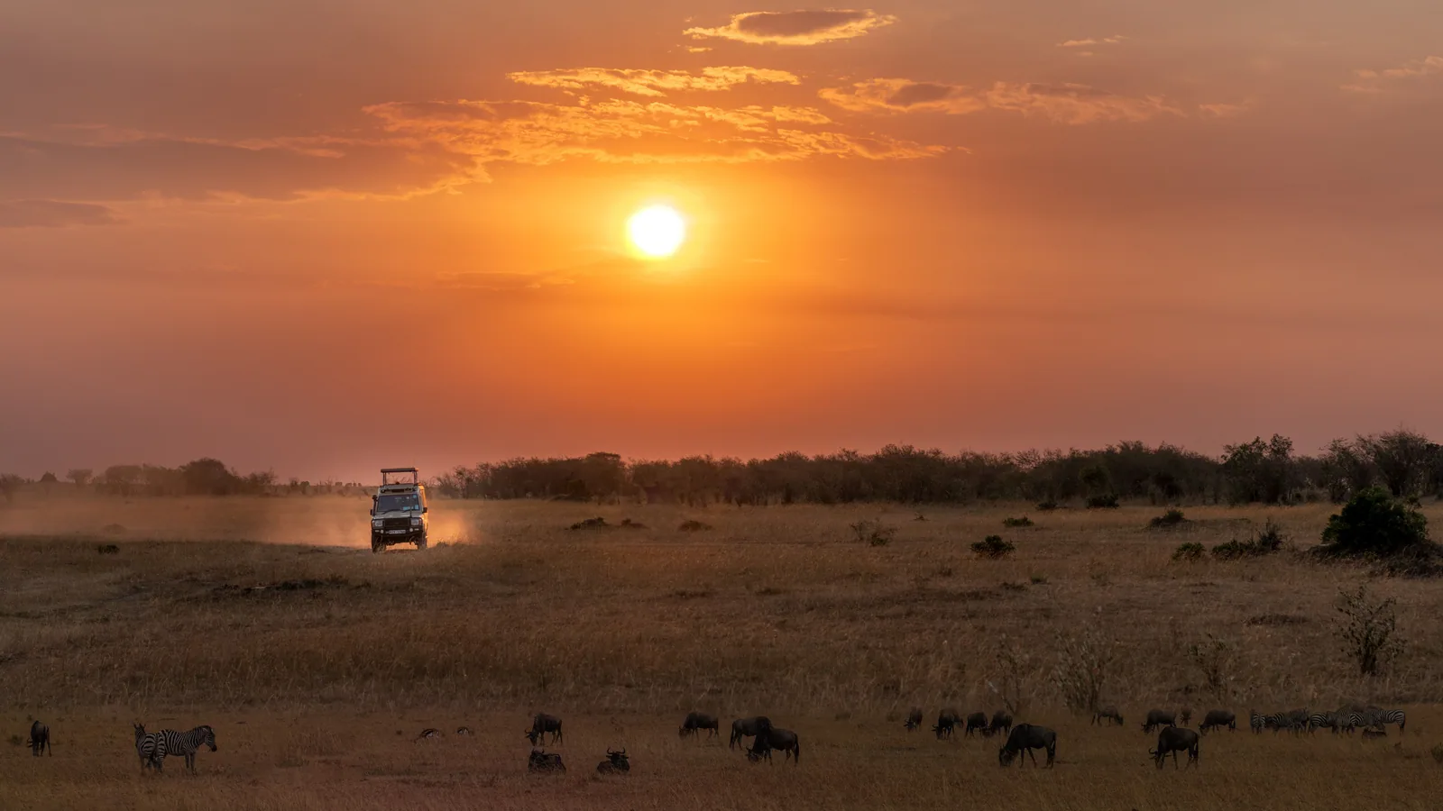 Paysage de safari au Botswana associé à circuit Botswana