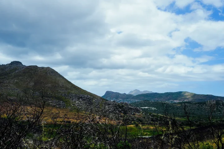 Paysage d'Afrique du Sud associé à Route des Jardins Afrique du Sud