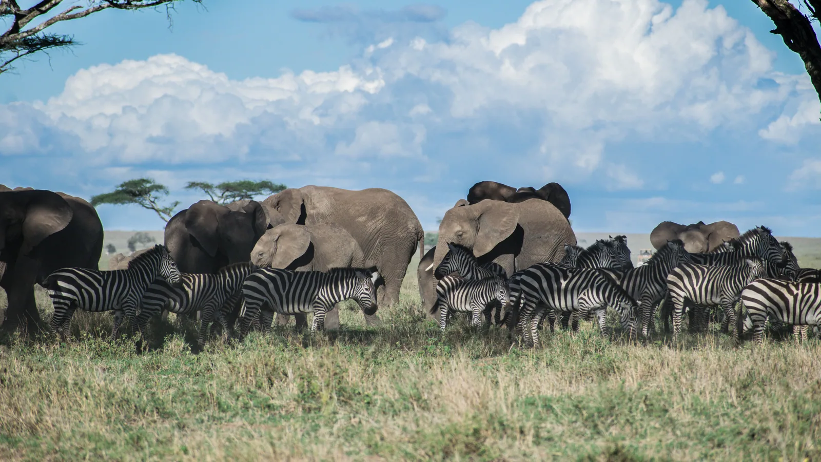 Camp de safari en Afrique associé à combien de jours safari