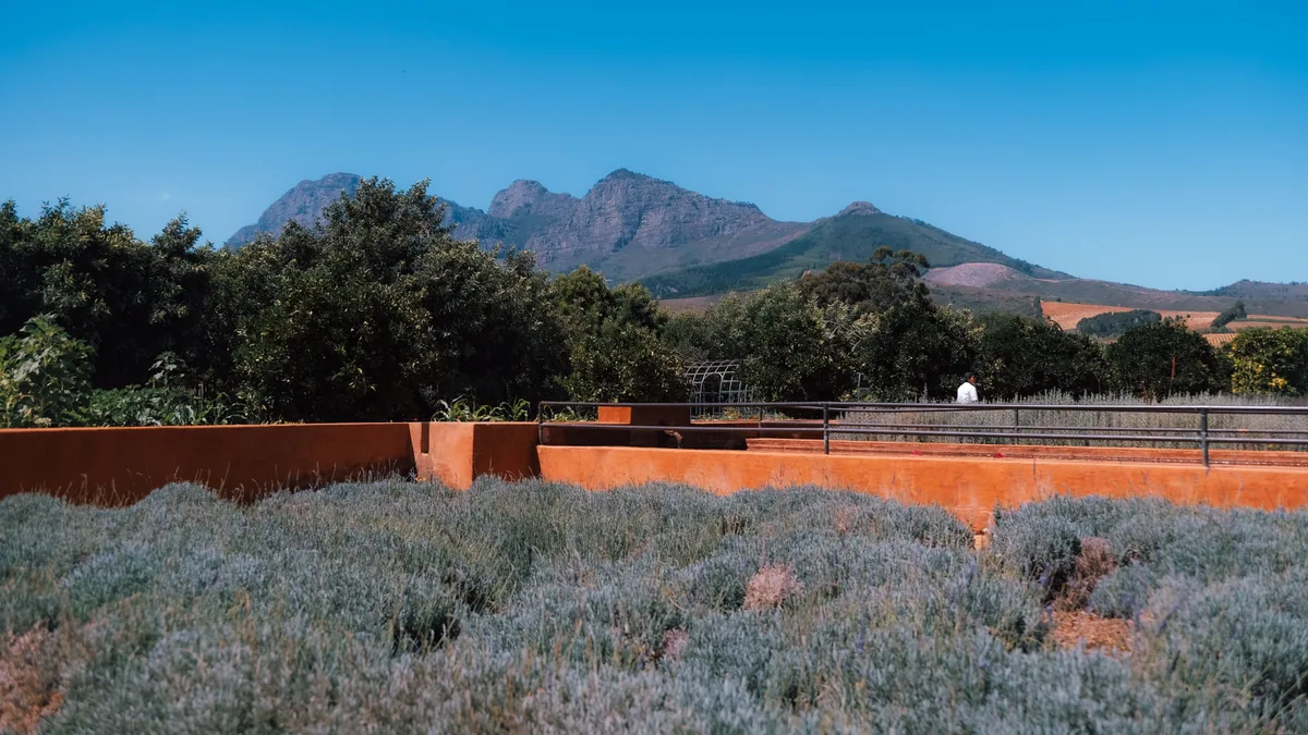 Paysage africain associé à Franschhoek Afrique du Sud