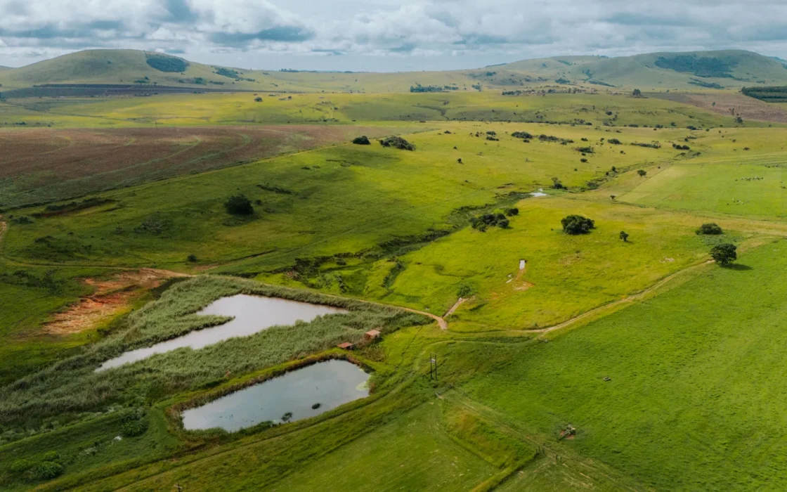 Paysage africain associé à iSimangaliso Wetland Park