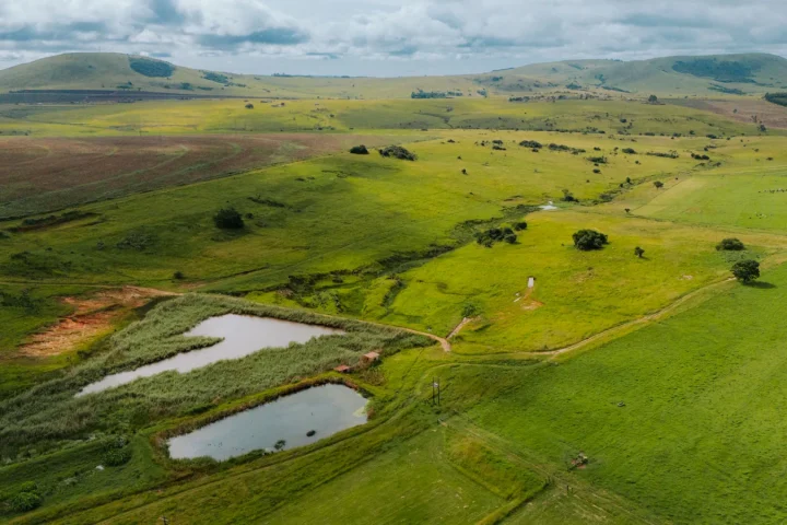 Paysage africain associé à iSimangaliso Wetland Park