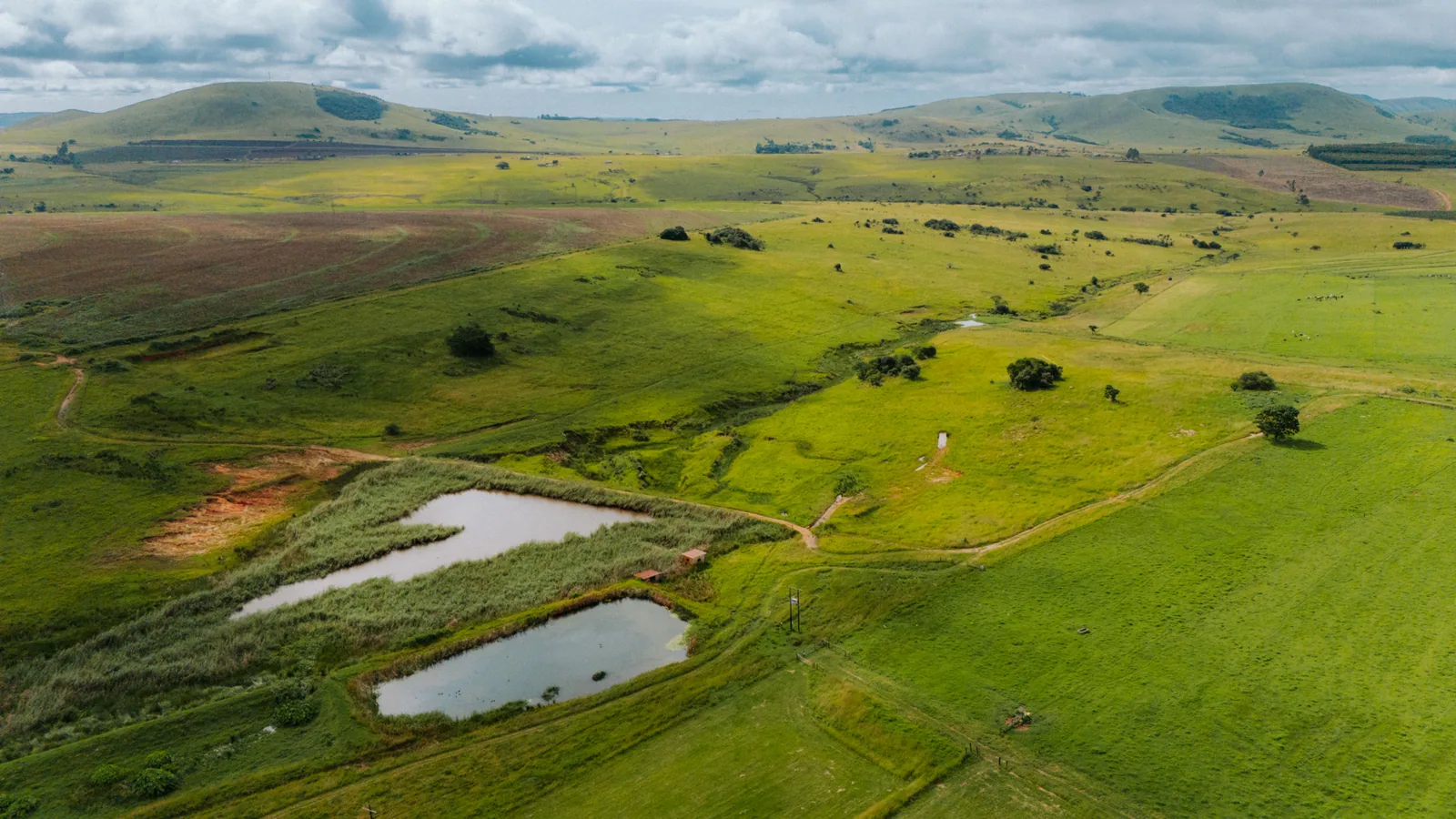 Paysage africain associé à iSimangaliso Wetland Park