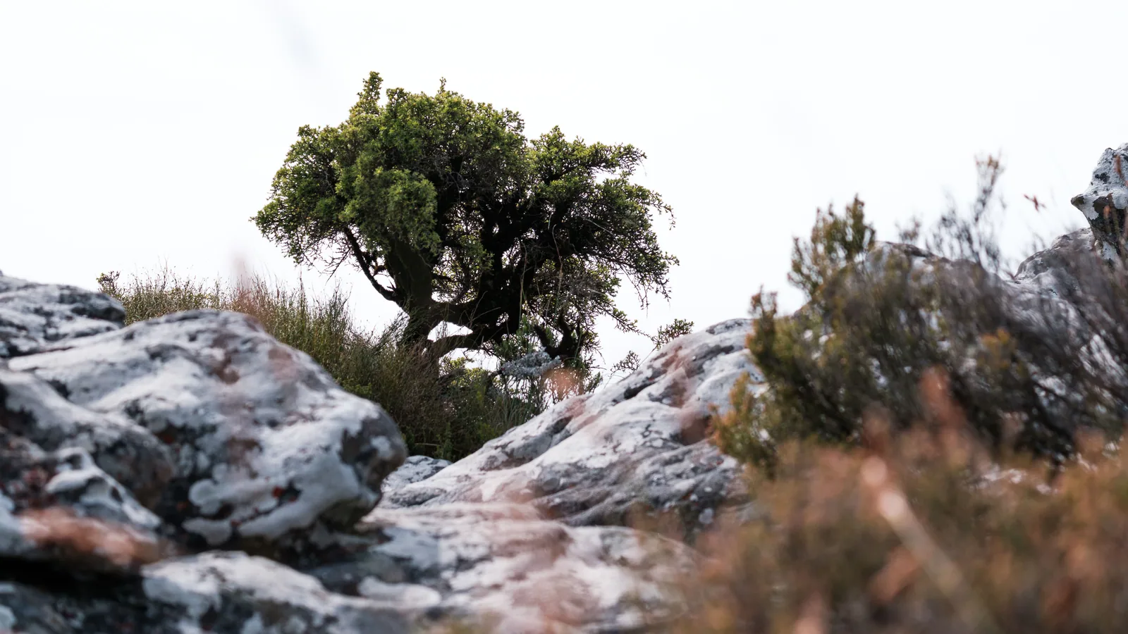Paysage africain associé à KwaZulu-Natal itinéraire