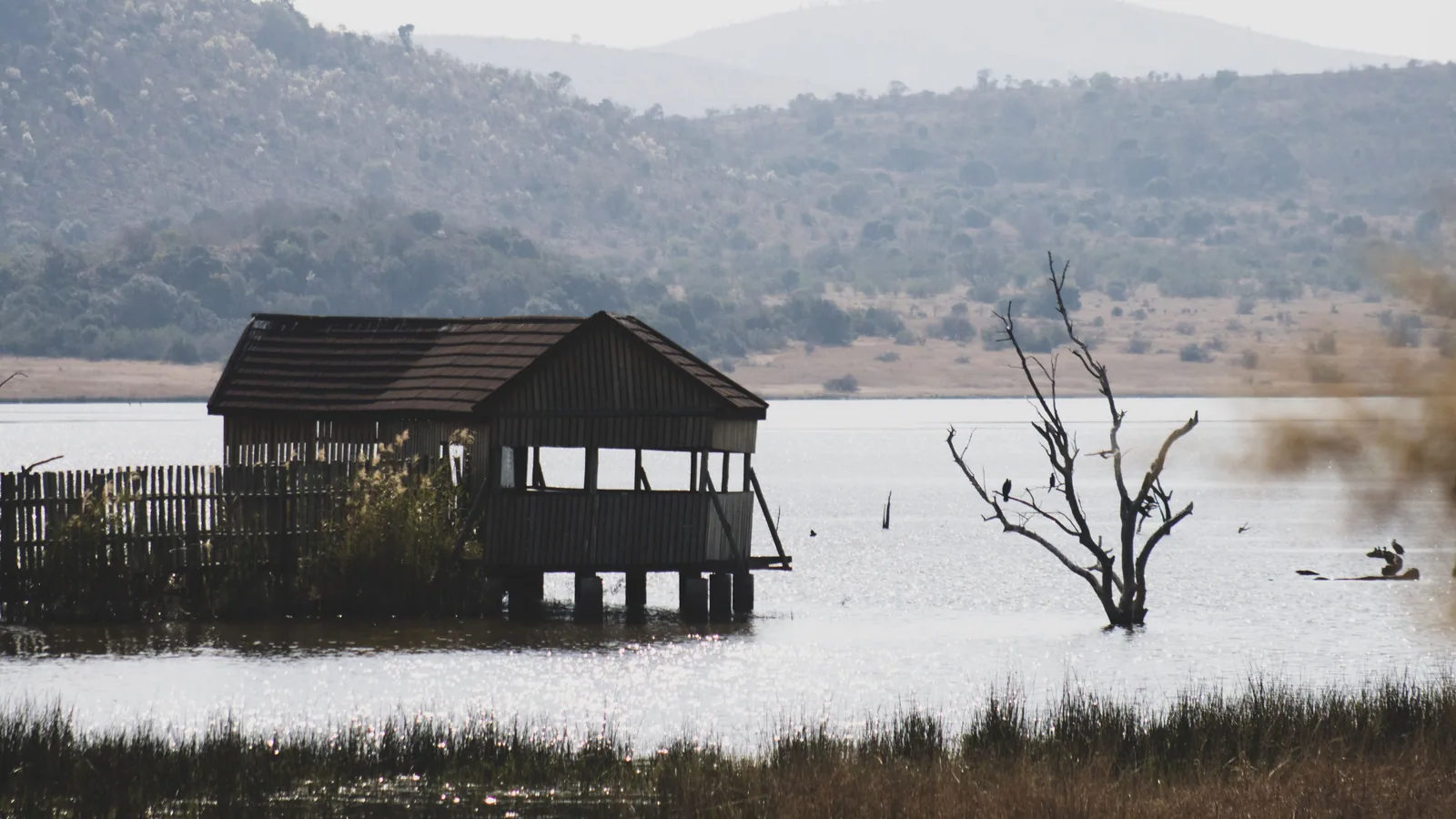 Camp de safari en Afrique associé à lodge Pilanesberg