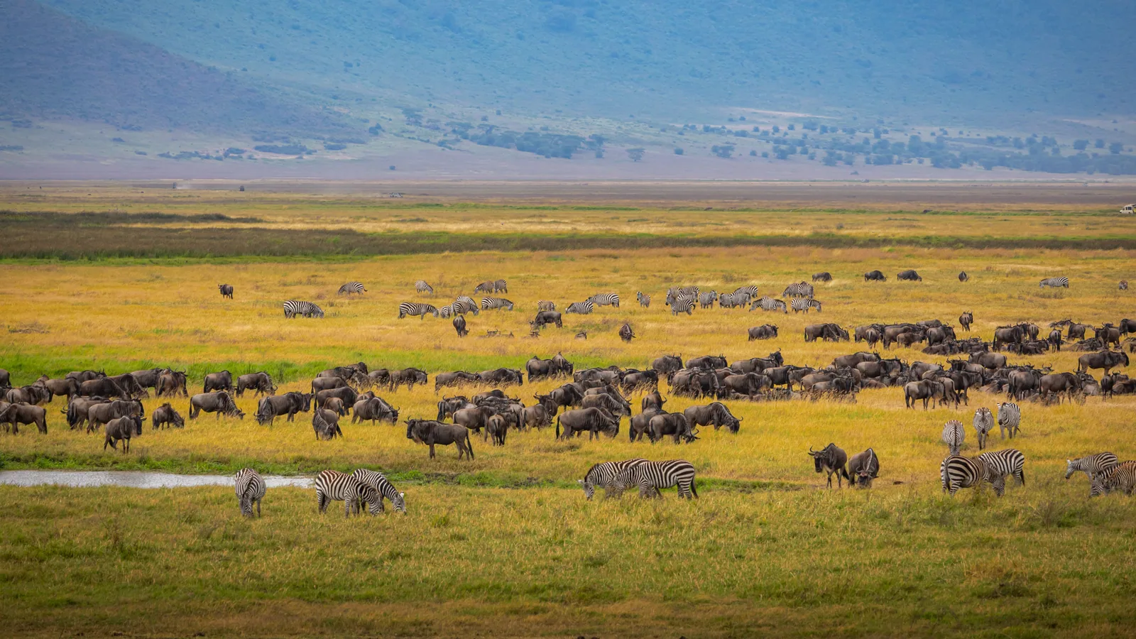Paysage africain associé à cratère Ngorongoro safari