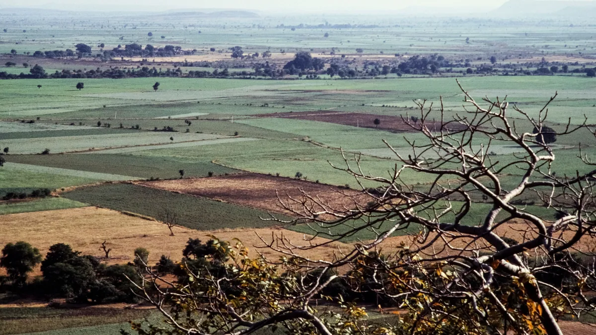 Paysage africain associé à paludisme Afrique australe