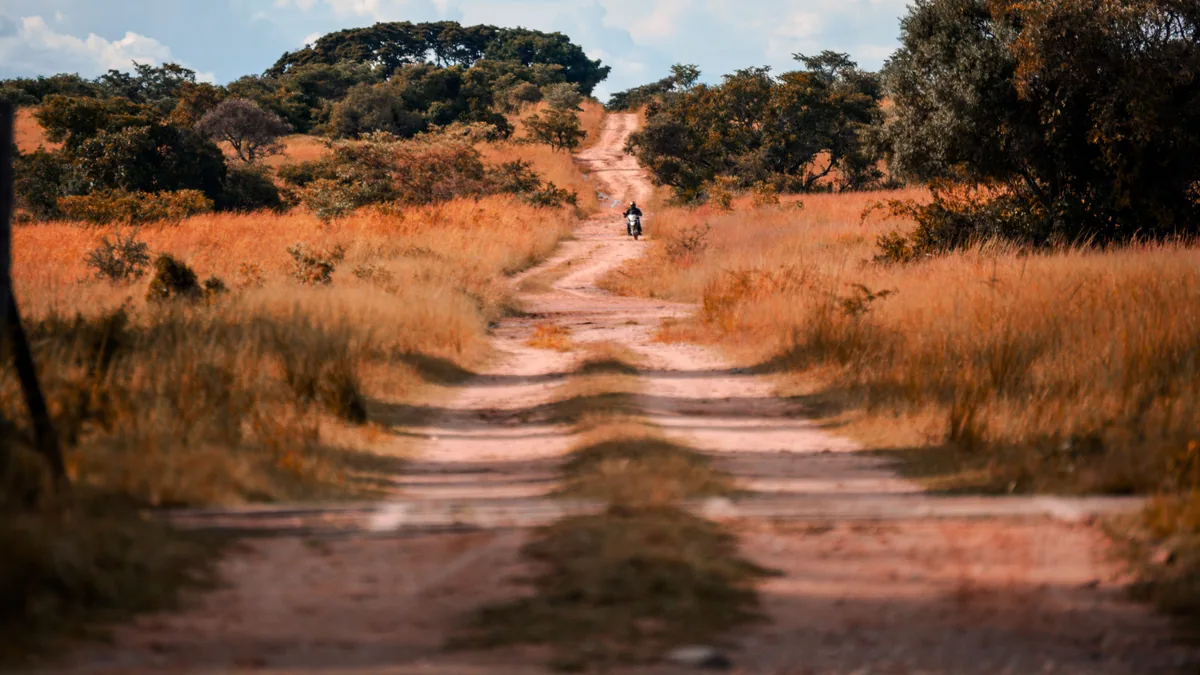 Paysage africain associé à parc Hwange