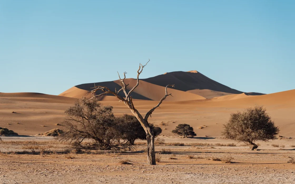 Paysage désertique de Namibie associé à quand partir en Namibie