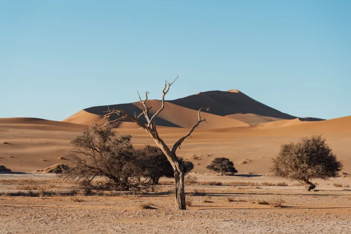 Paysage désertique de Namibie associé à quand partir en Namibie