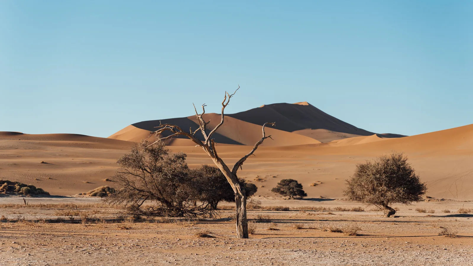 Paysage désertique de Namibie associé à quand partir en Namibie