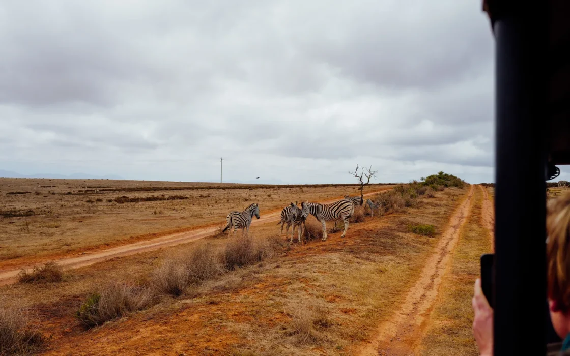 Paysage africain associé à road trip Afrique du Sud 15 jours