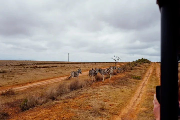 Paysage africain associé à road trip Afrique du Sud 15 jours