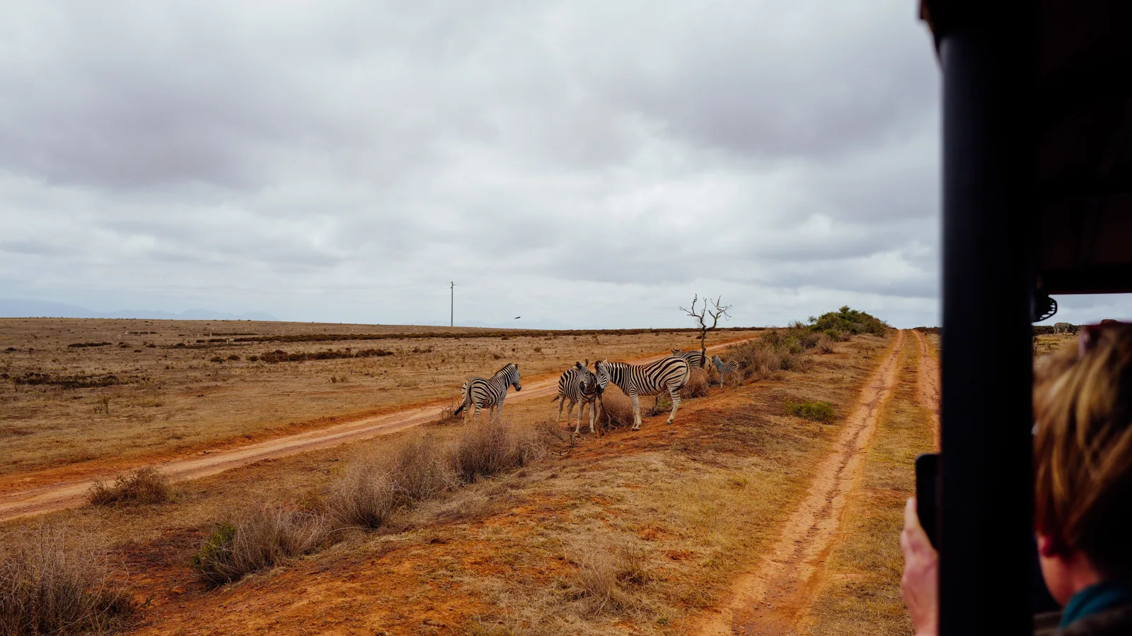 Paysage africain associé à road trip Afrique du Sud 15 jours