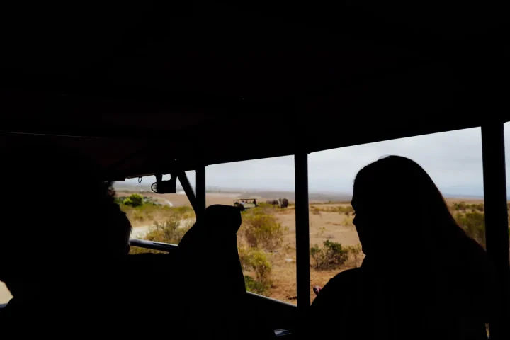Camp de safari en Afrique associé à safari autonome ou guide