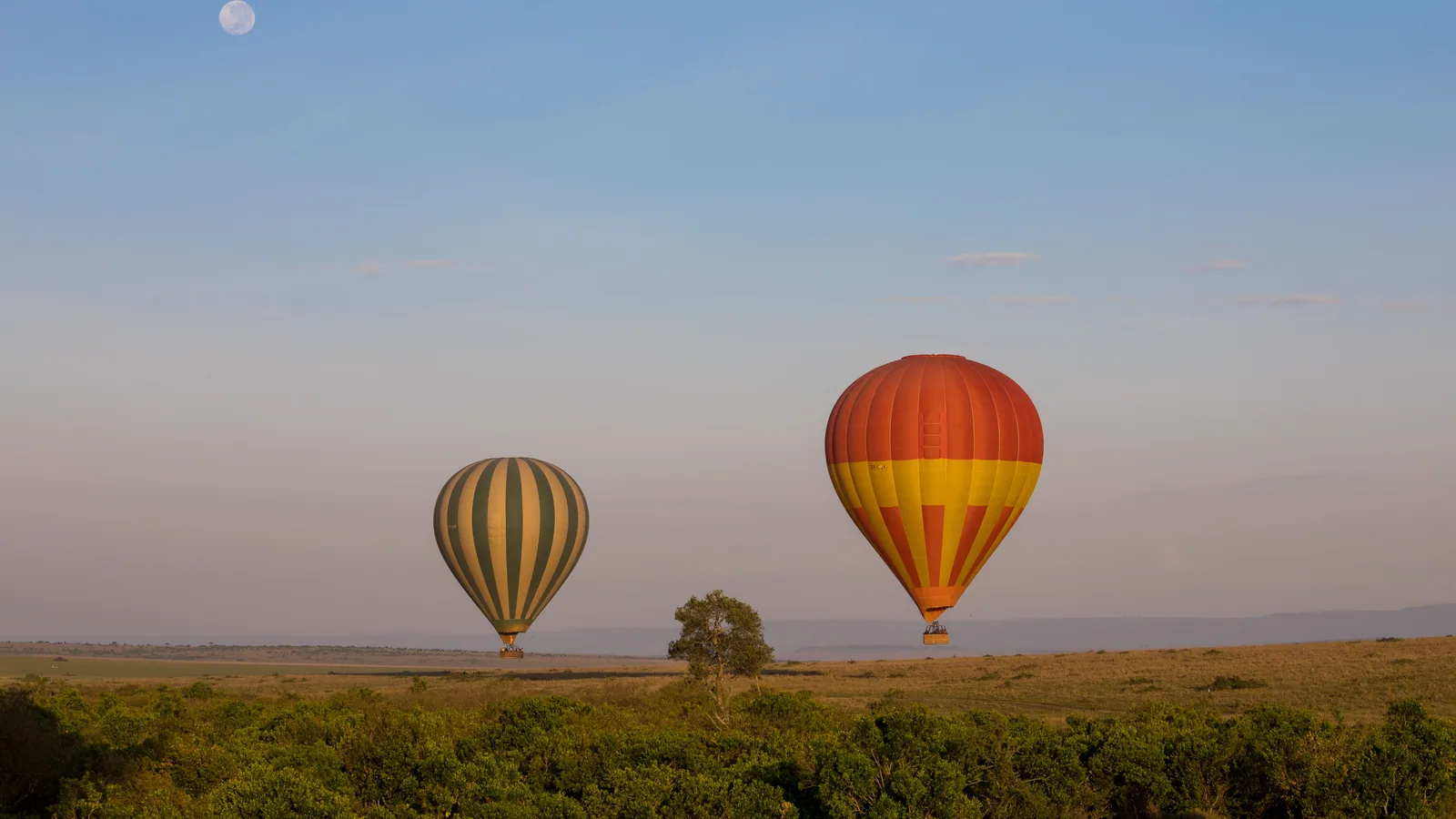 Camp de safari en Afrique associé à safari de luxe Afrique