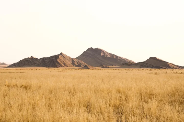 Camp de safari en Afrique associé à tente safari luxe