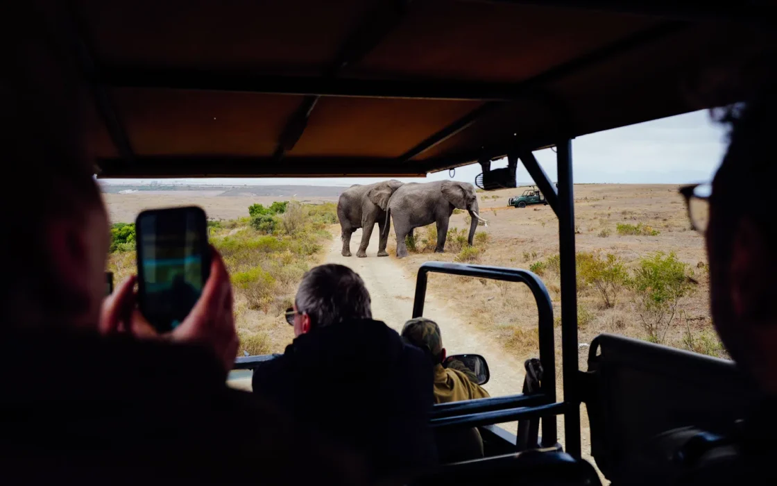 Camp de safari en Afrique associé à safari photo Afrique