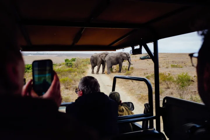 Camp de safari en Afrique associé à safari photo Afrique