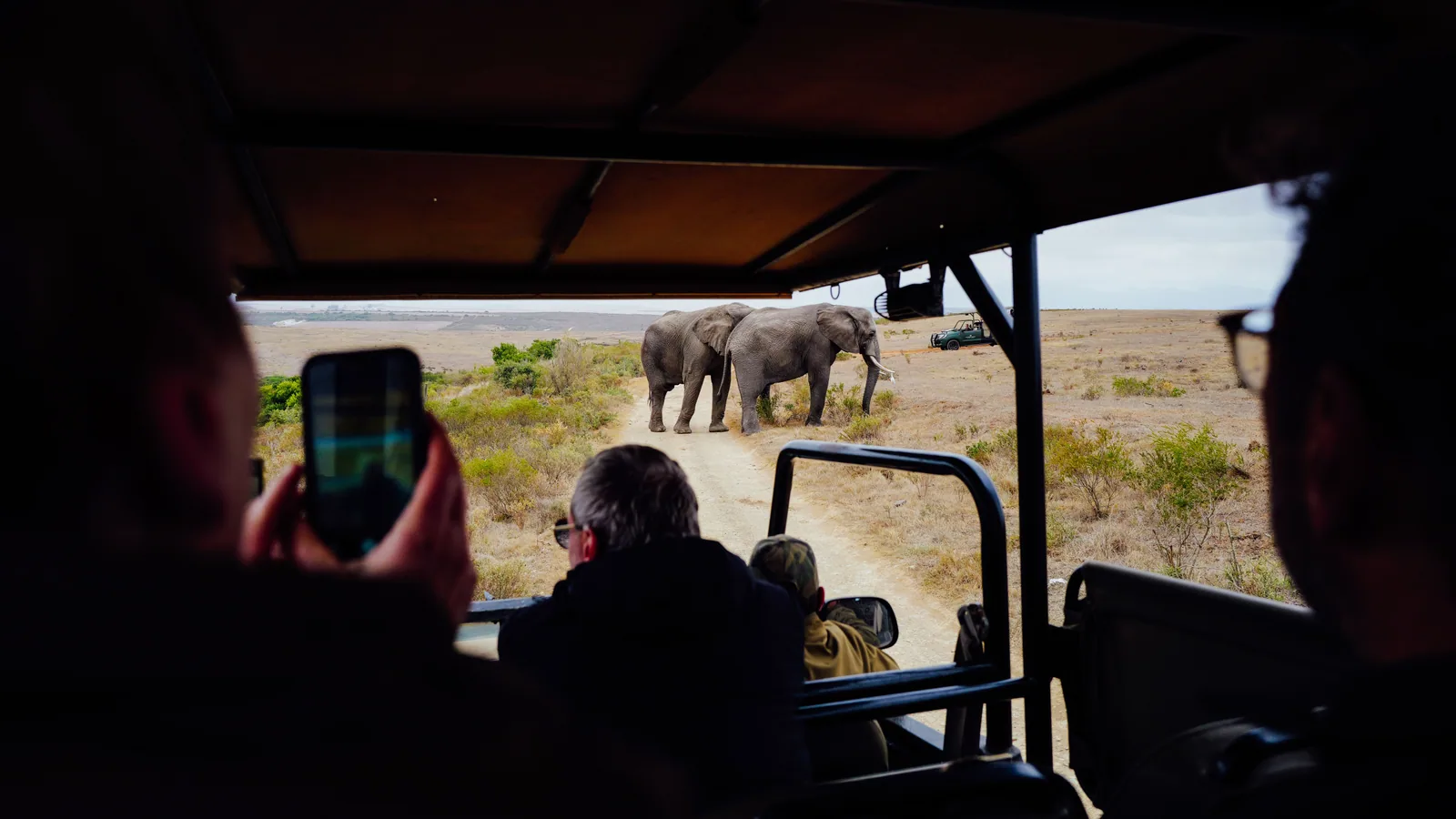 Camp de safari en Afrique associé à safari photo Afrique