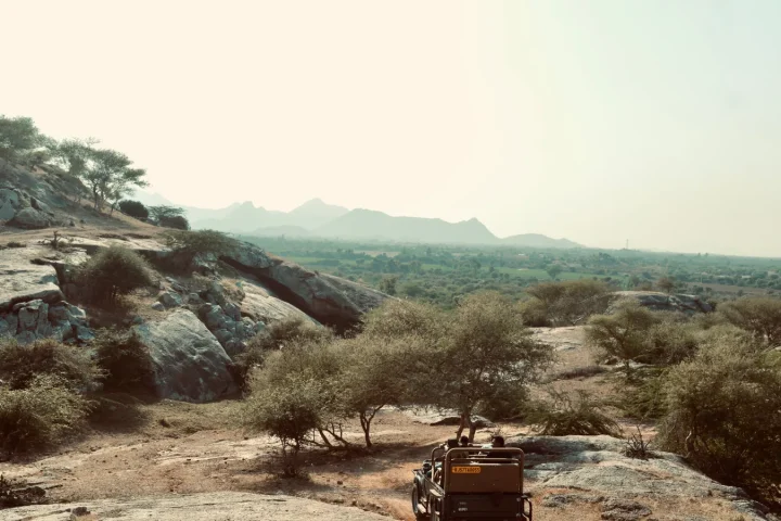 Camp de safari en Afrique associé à safari en famille