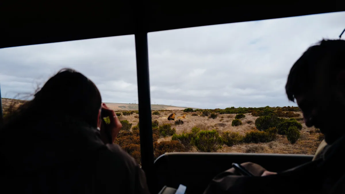 Camp de safari en Afrique associé à safari en famille