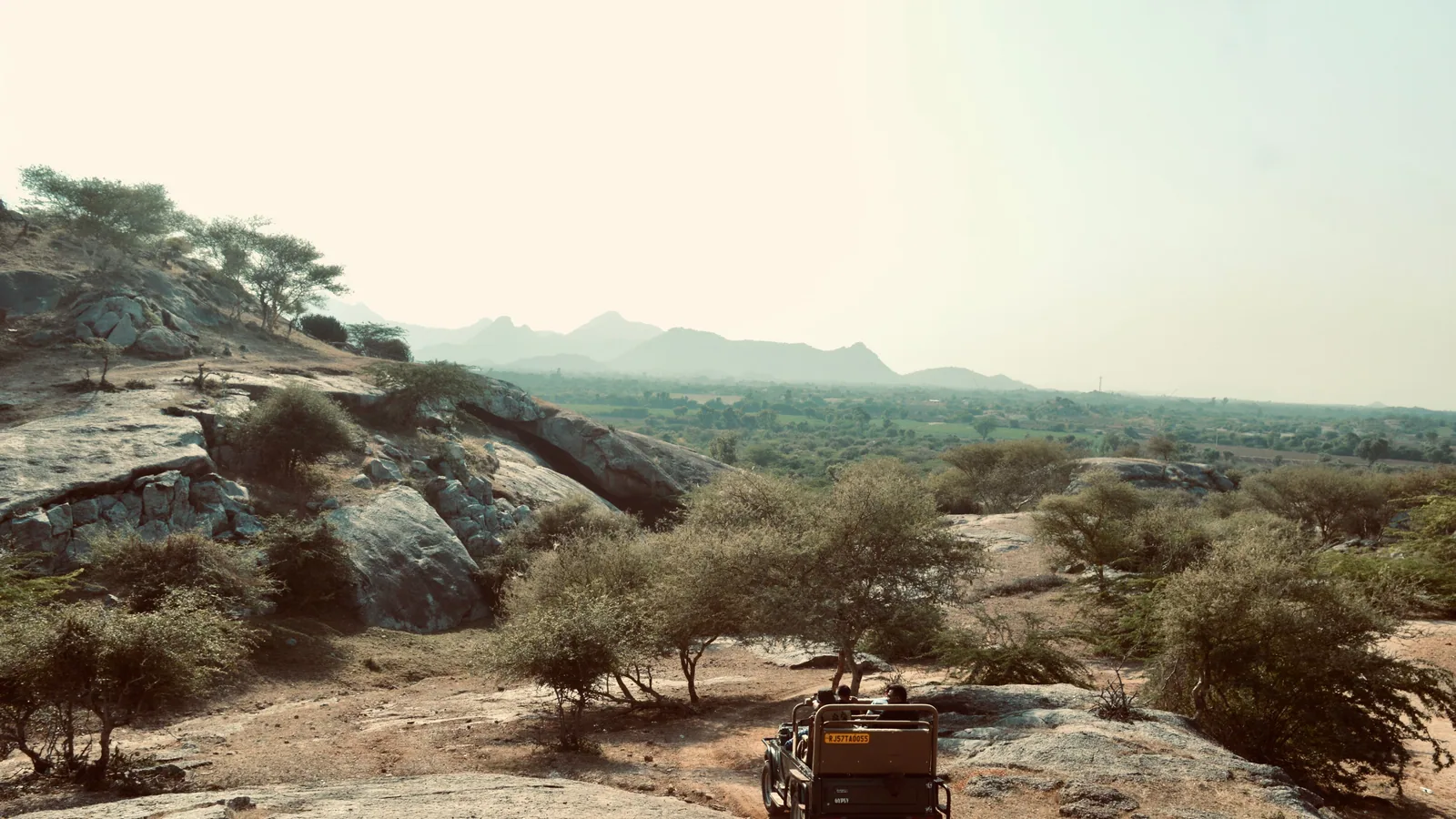 Camp de safari en Afrique associé à safari en famille