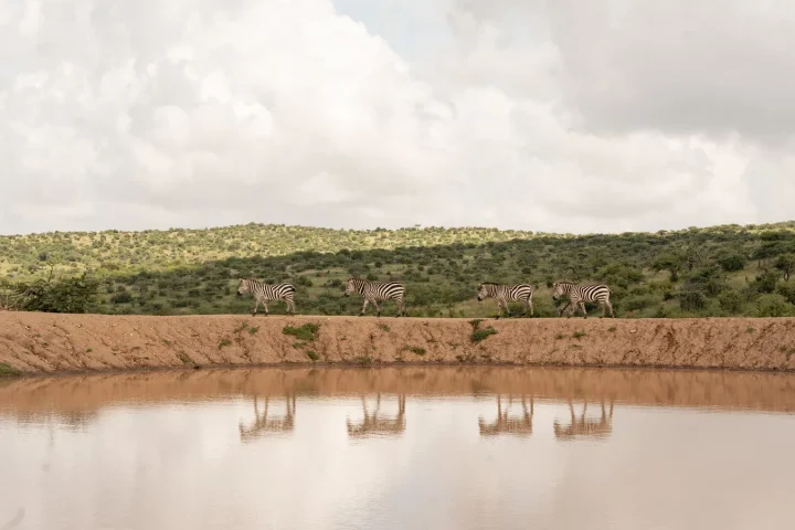 Camp de safari en Afrique associé à safari à pied Afrique