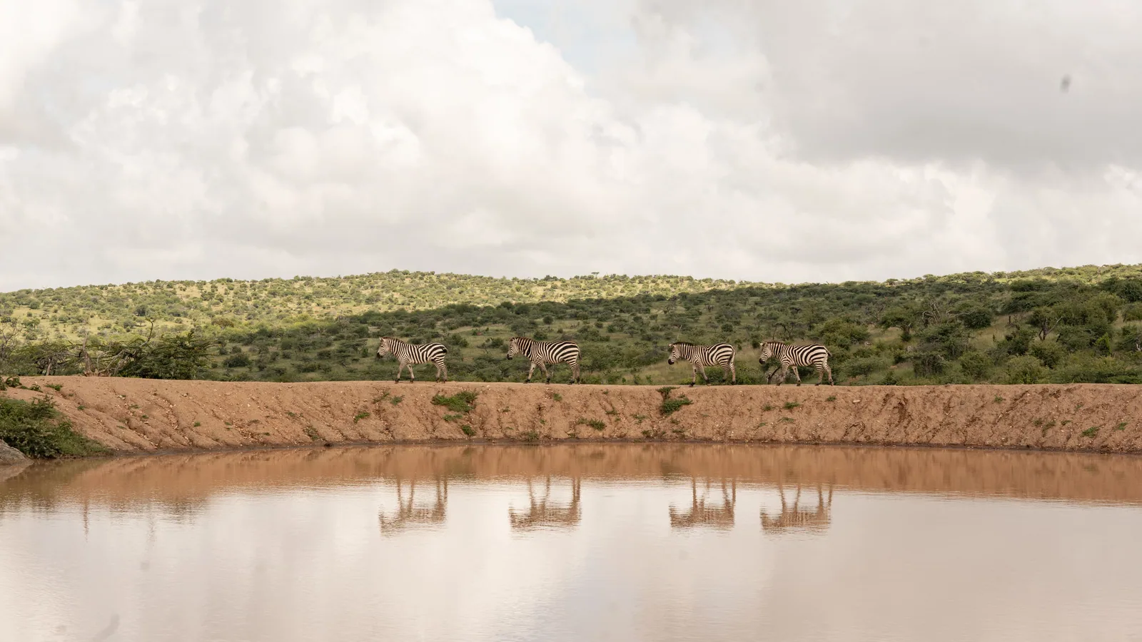 Camp de safari en Afrique associé à safari à pied Afrique