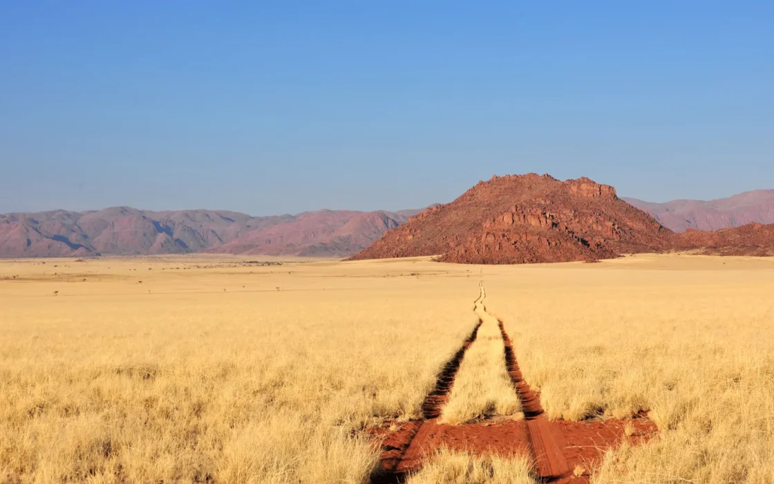 Camp de safari en Afrique associé à safari sans paludisme