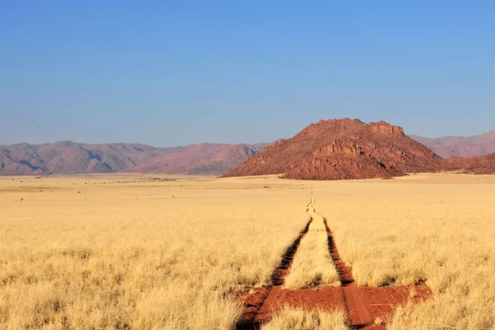 Camp de safari en Afrique associé à safari sans paludisme