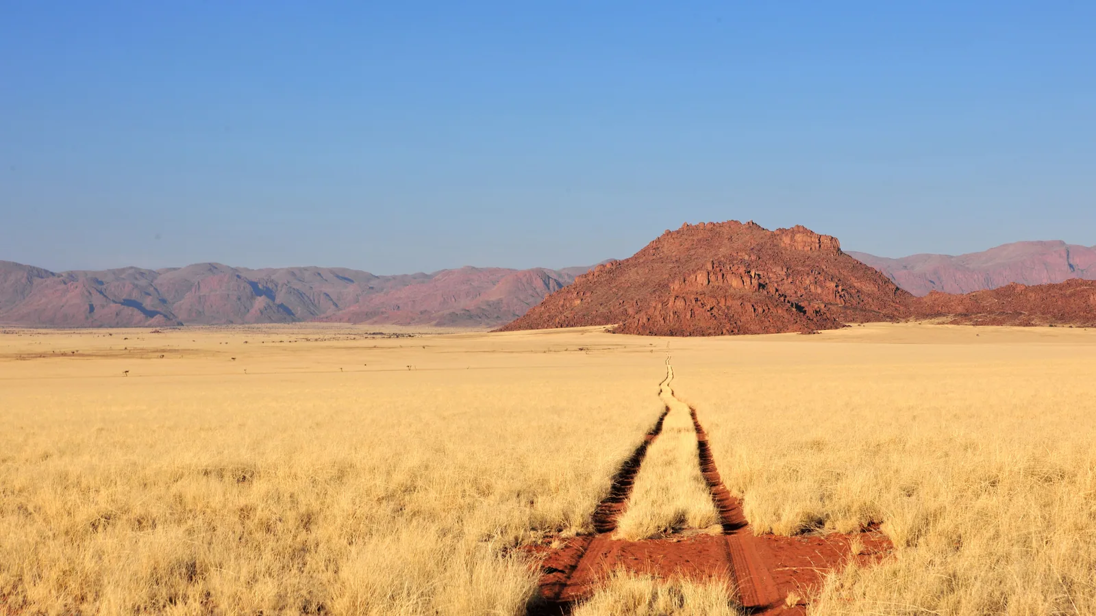 Camp de safari en Afrique associé à safari sans paludisme