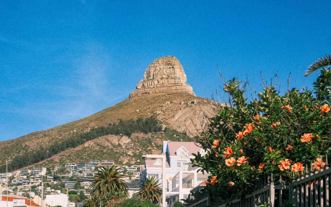 Paysage d'Afrique du Sud associé à saison des fleurs Cape Town