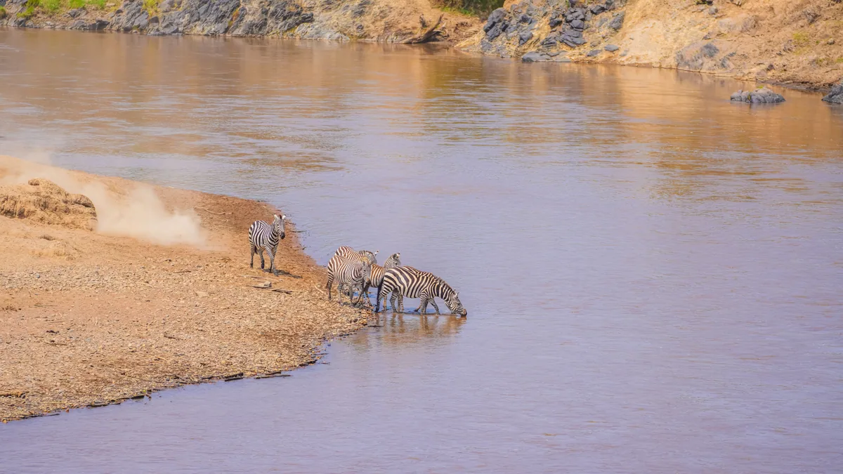 Paysage africain associé à Serengeti ou Masai Mara