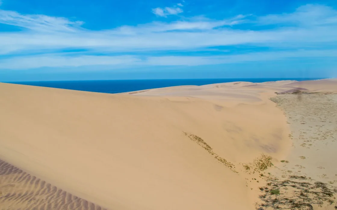 Dunes de sable clair rejoignant un océan bleu sous un ciel dégagé
