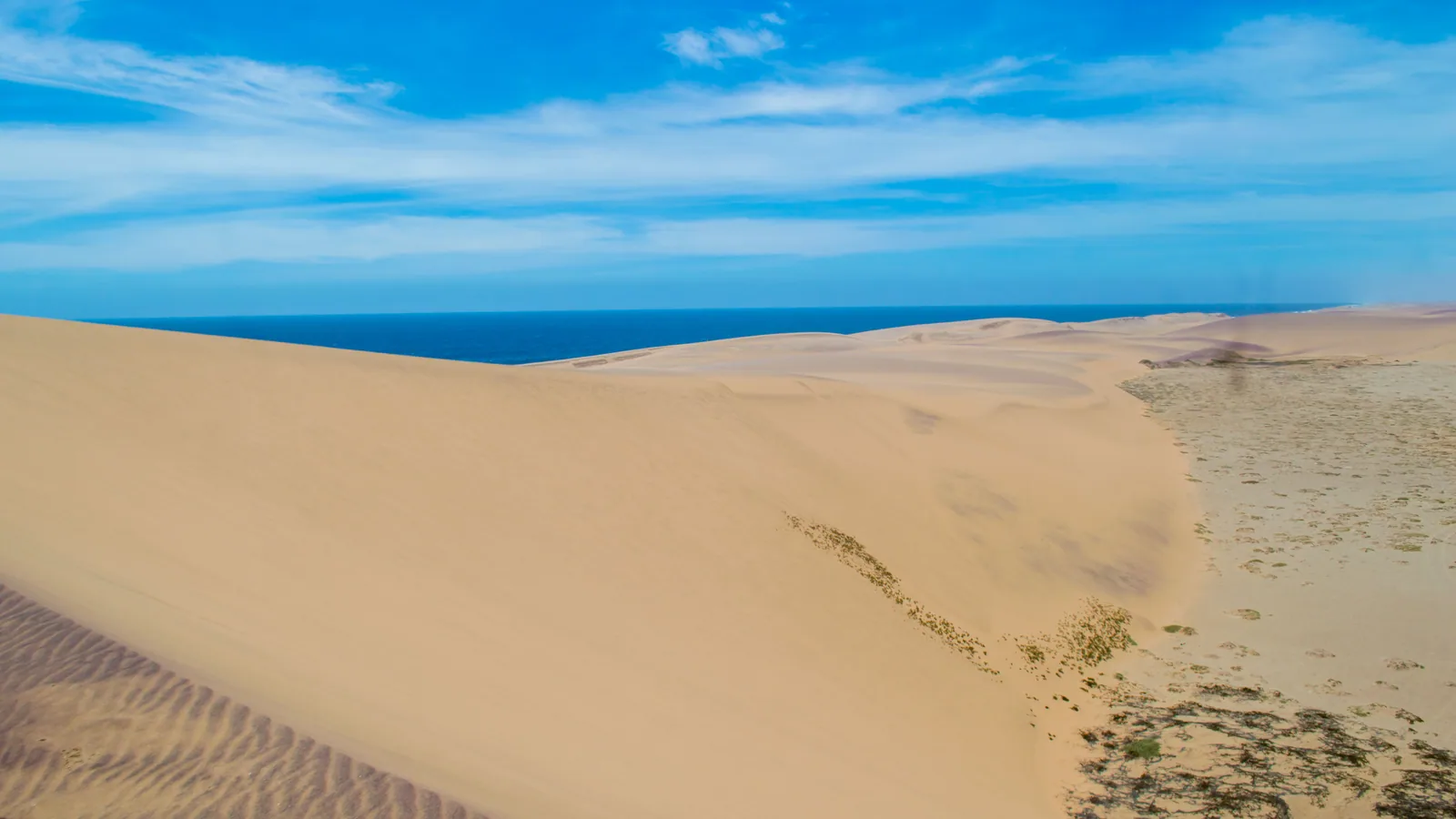 Dunes de sable clair rejoignant un océan bleu sous un ciel dégagé