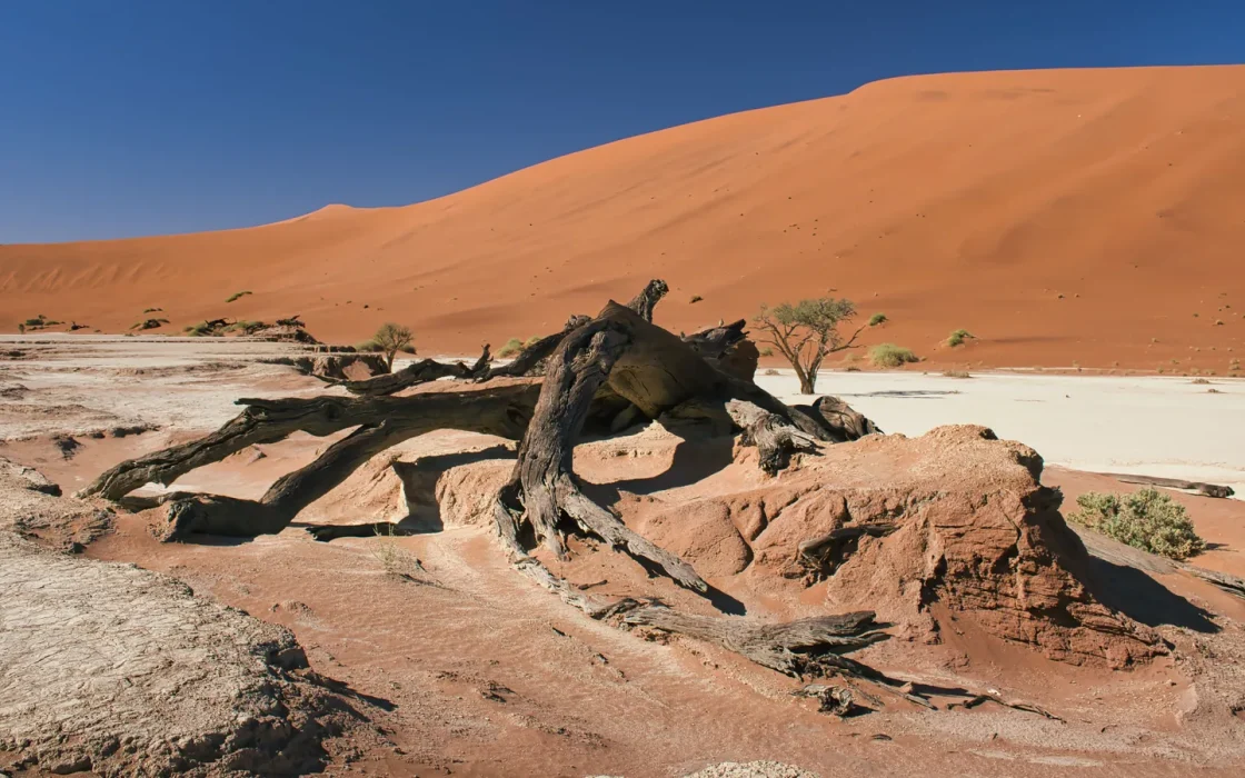 Paysage désertique de Namibie associé à Sossusvlei