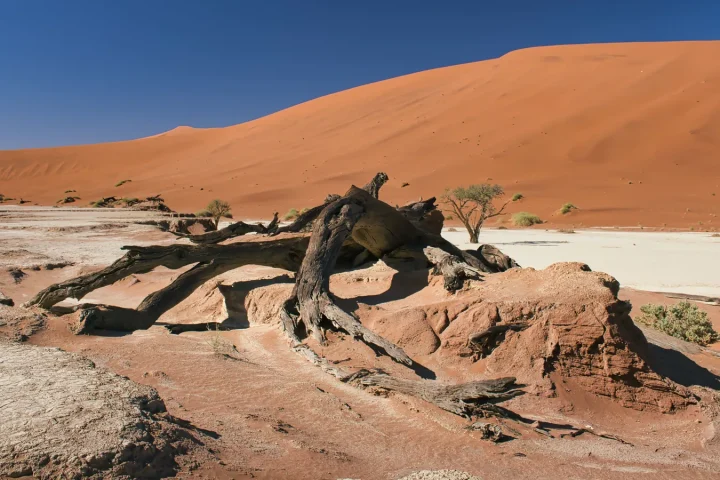 Paysage désertique de Namibie associé à Sossusvlei