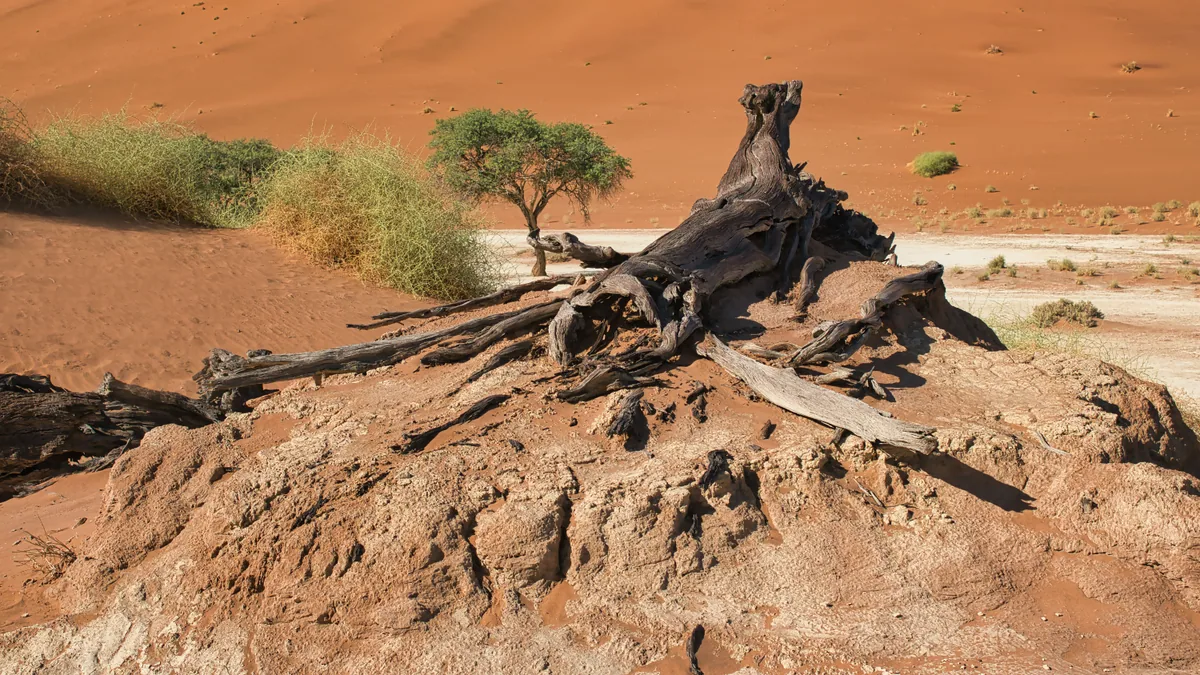Paysage désertique de Namibie associé à Sossusvlei