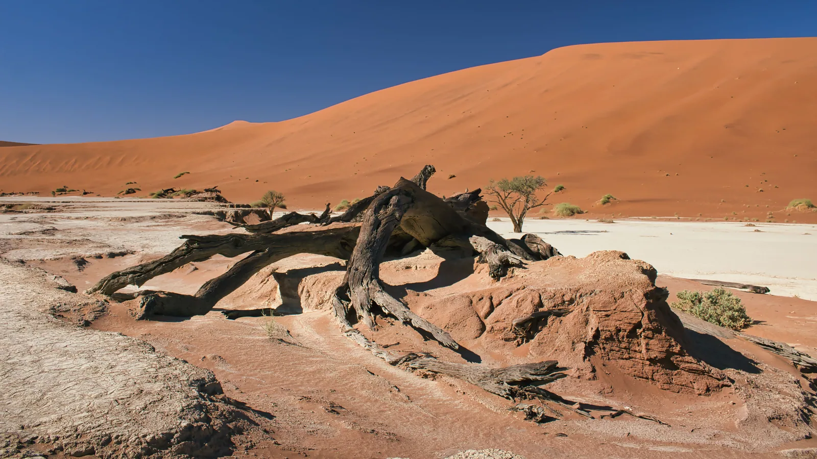 Paysage désertique de Namibie associé à Sossusvlei