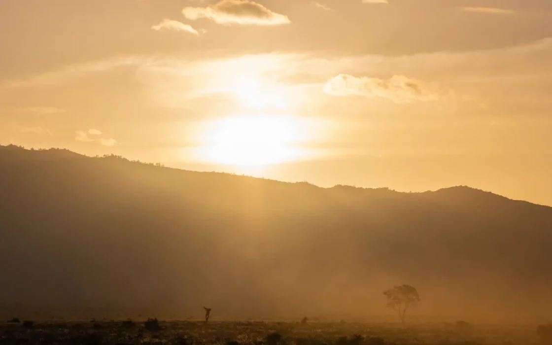 Paysage africain associé à Tanzanie