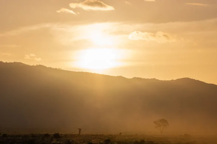 Paysage africain associé à Tanzanie