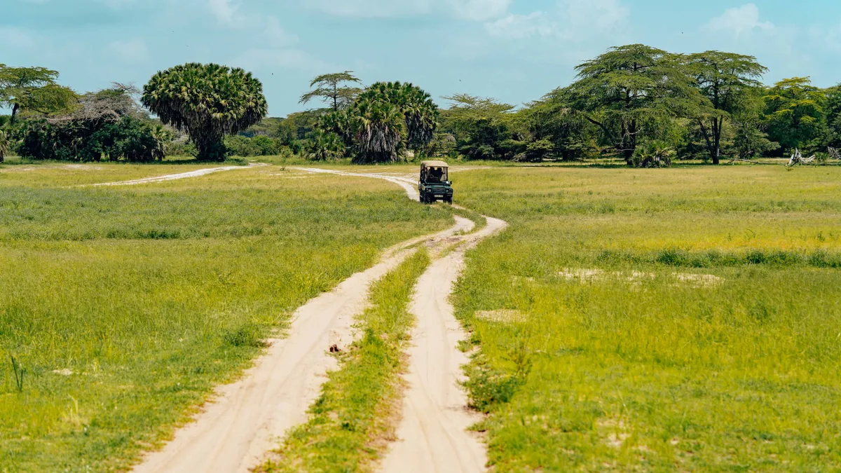 Paysage africain associé à Tanzanie