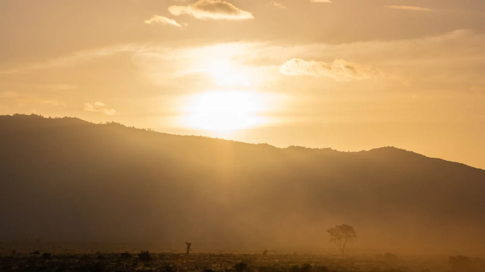 Paysage africain associé à Tanzanie