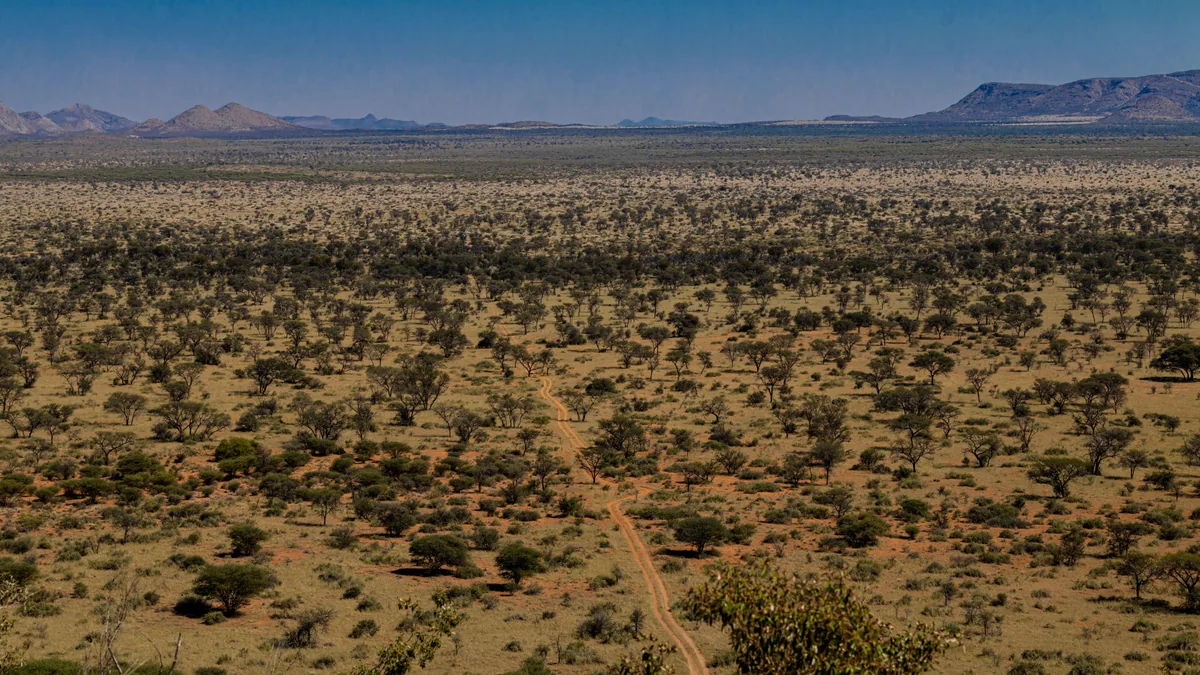Camp de safari en Afrique associé à valise safari
